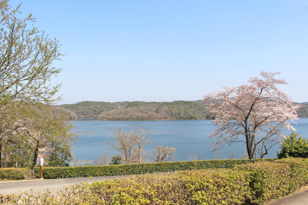 Lake Iruka