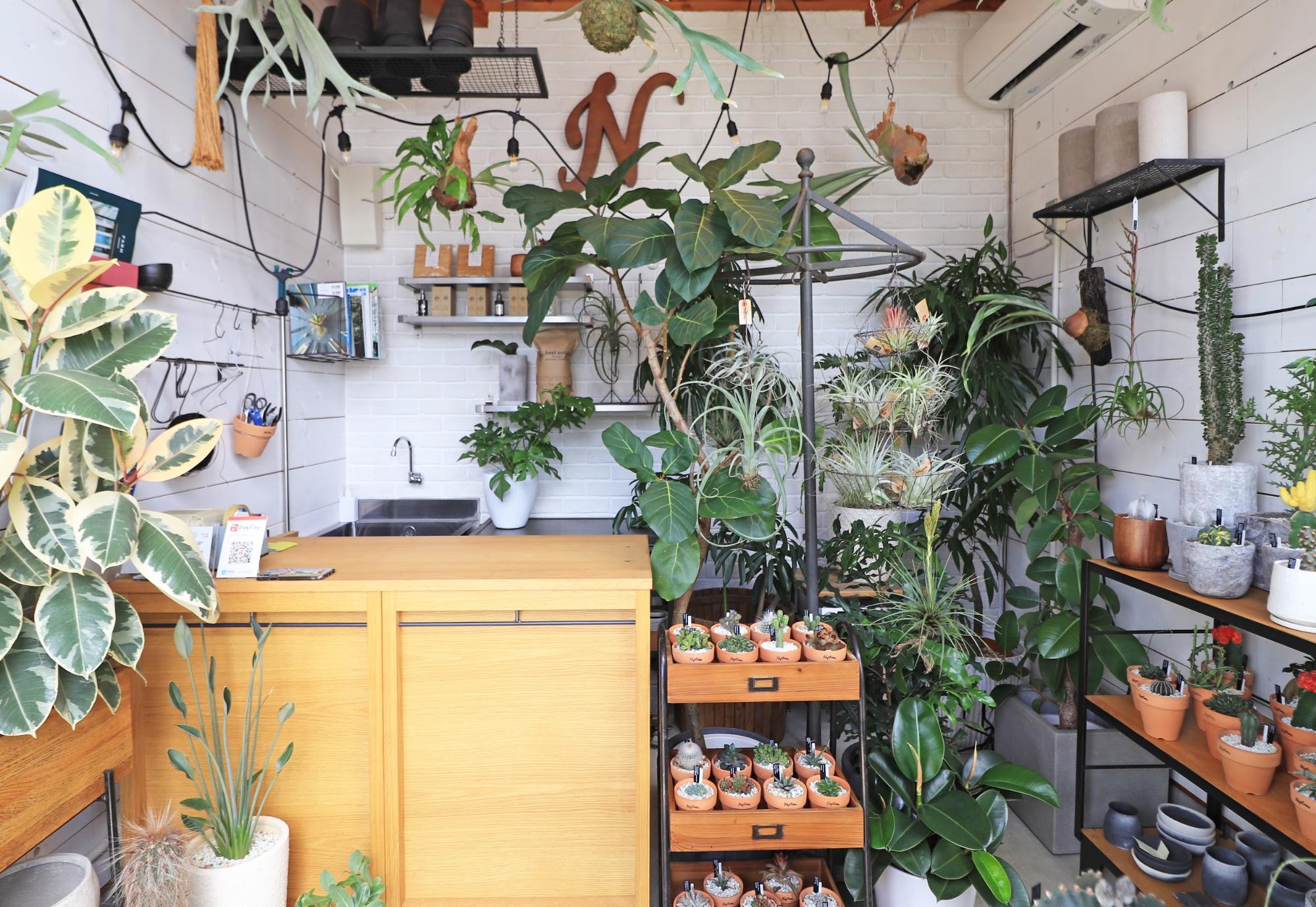 名古屋周辺のおすすめグリーンショップ 愛知県で観葉植物を買うならここ ライフデザインズ