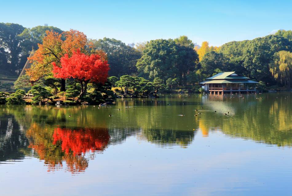 清澄庭園