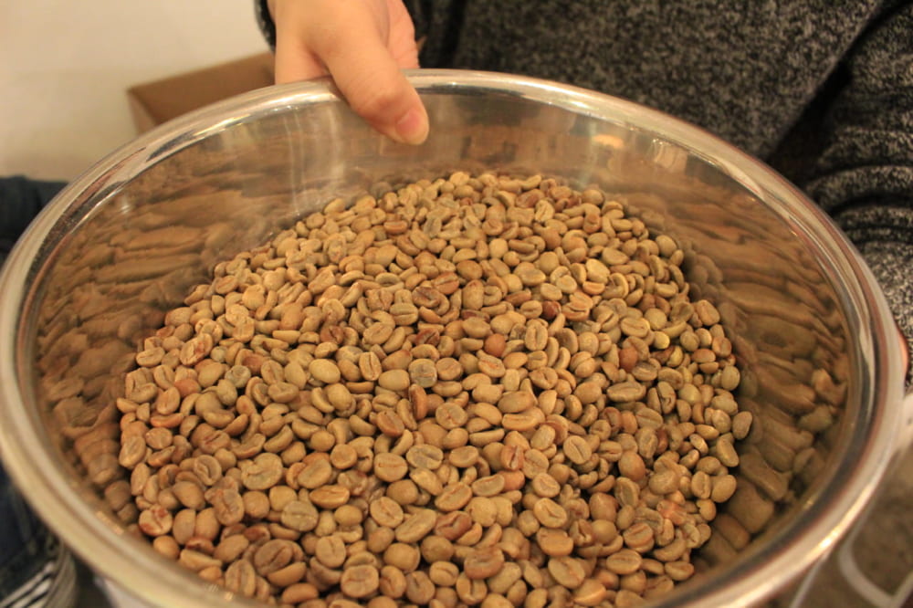 生のコーヒ豆