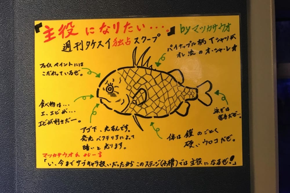 竹島水族館がおもしろい 日本で4番目に小さいけど とてもユニークな水族館 愛知 蒲郡 ライフデザインズ