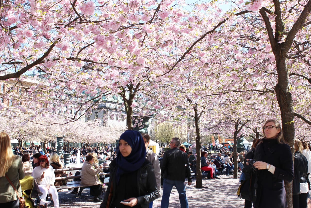 Kungsträdgården（クングストラッドゴーデン）