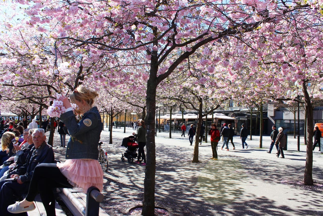 Kungsträdgården（クングストラッドゴーデン）