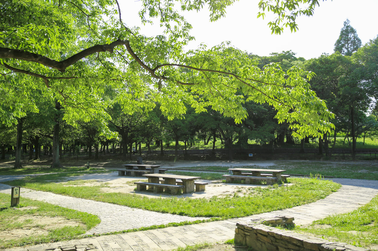 庄内緑地 qやピクニックにサイクリング 1年中楽しめる総合公園 ライフデザインズ