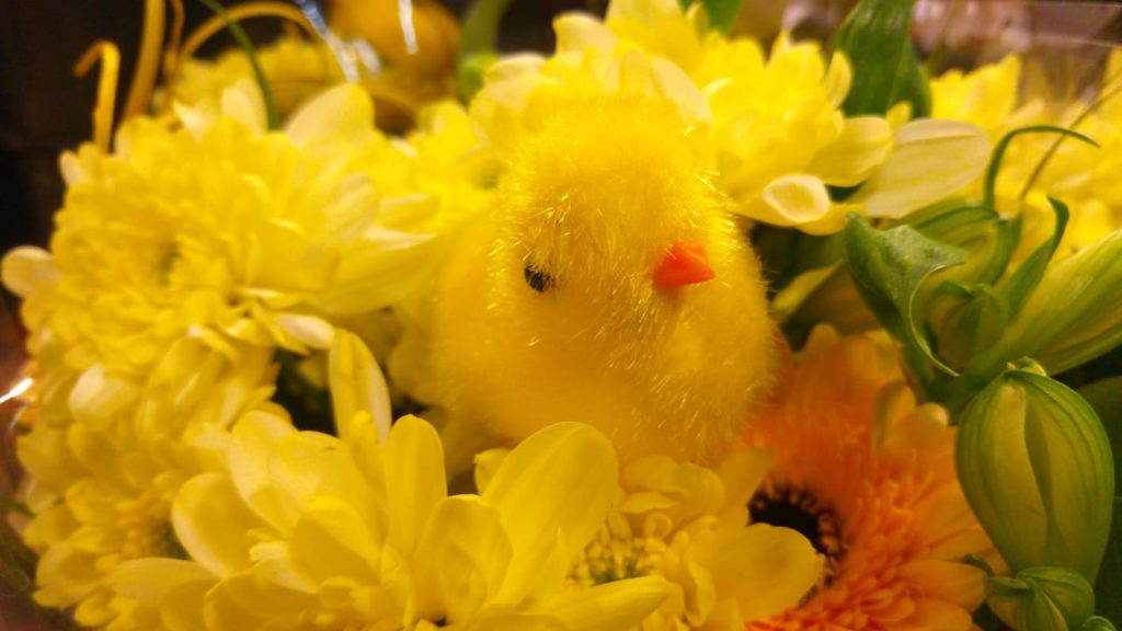 【スウェーデンの暮らし】PÅSK ～スウェーデンのイースター（復活祭）～