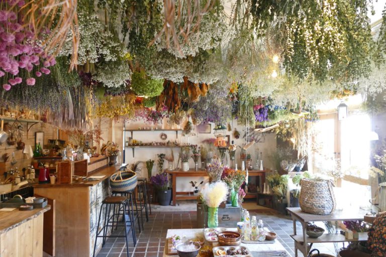 おとぎの国のようなワクワク感。ドライフラワーと暮らしのお店 「その灯ぐらし 猫洞店」