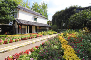 【文化のみちを歩こう】四季折々の草花であふれる癒しの庭園「文化のみち百花百草」