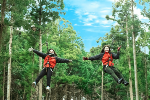 Hạ cánh đầu tiên ở tỉnh Mie. Một báo cáo kỹ lưỡng về công viên ngoài trời "Forest Adventure Yunoyama" trong rừng nơi người lớn cũng có thể tận hưởng!