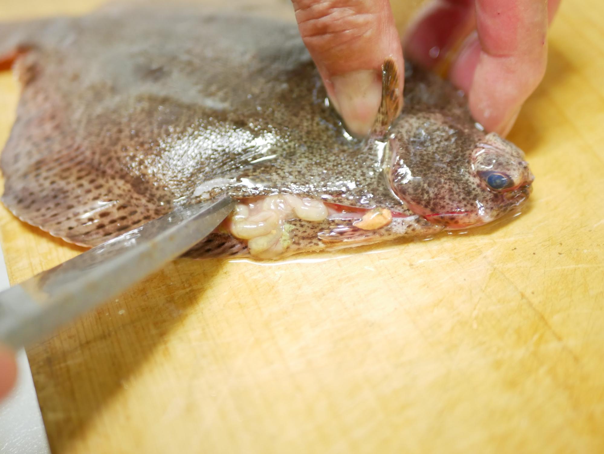 さかな屋のお嫁さん家 6月の食卓 旦那さんからの褒められ さかなごはん ライフデザインズ