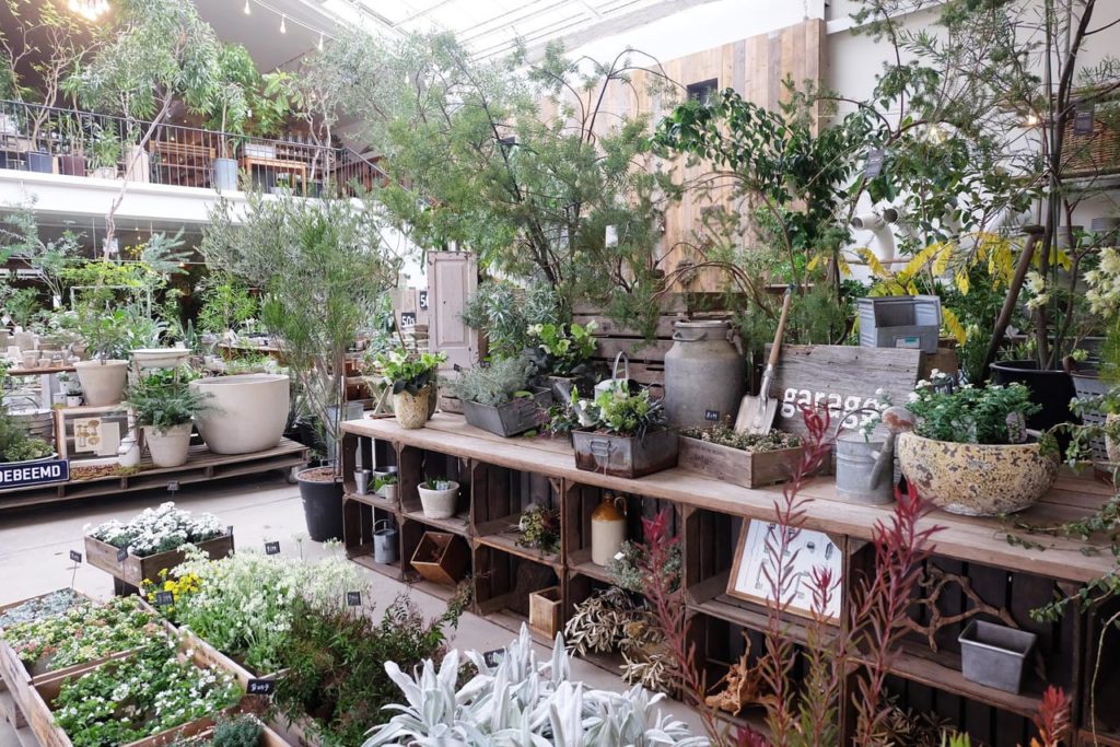 ジャンルが違う2つの空間で、個性的なグリーンとの出合いを楽しむ「garage(ガレージ)」