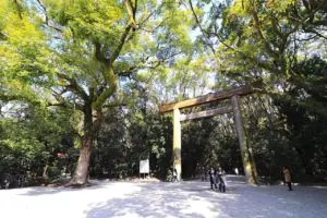 Not only Atsuta Shrine. Let's take a walk in Atsuta Ward!
