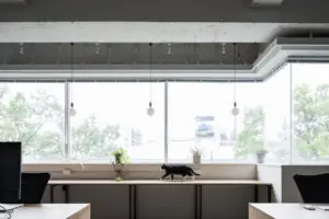 ライフデザインズのオフィスがお引っ越し!リノベーションの様子を大公開します。