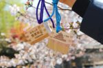 枡の通行手形を片手に大垣散策しよう！「ぷらっと西美濃通行手形」