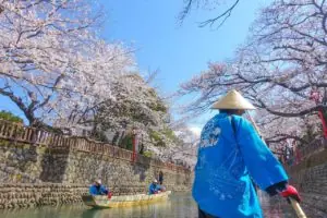 船に乗って、まったりお花見。「水の都おおがき舟下り」