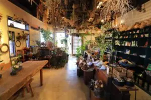 都会の喧騒を離れた古民家フラワーショップ&カフェ「united bamboo(ユナイテッドバンブー)」