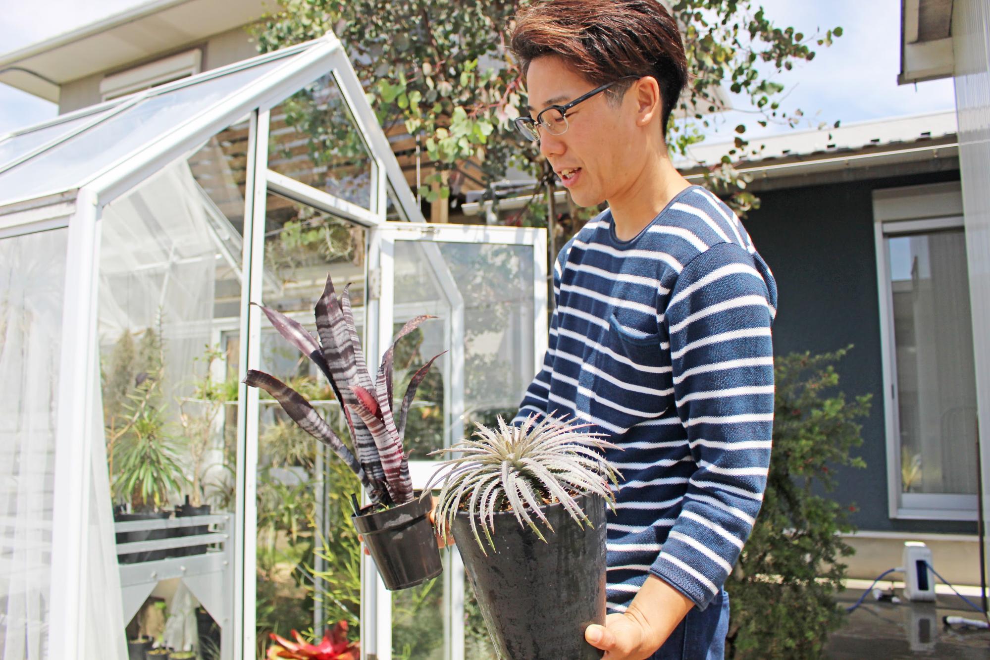 Naptime 小林植物店 植物を育てる楽しみを教えてくれるお店 ライフデザインズ