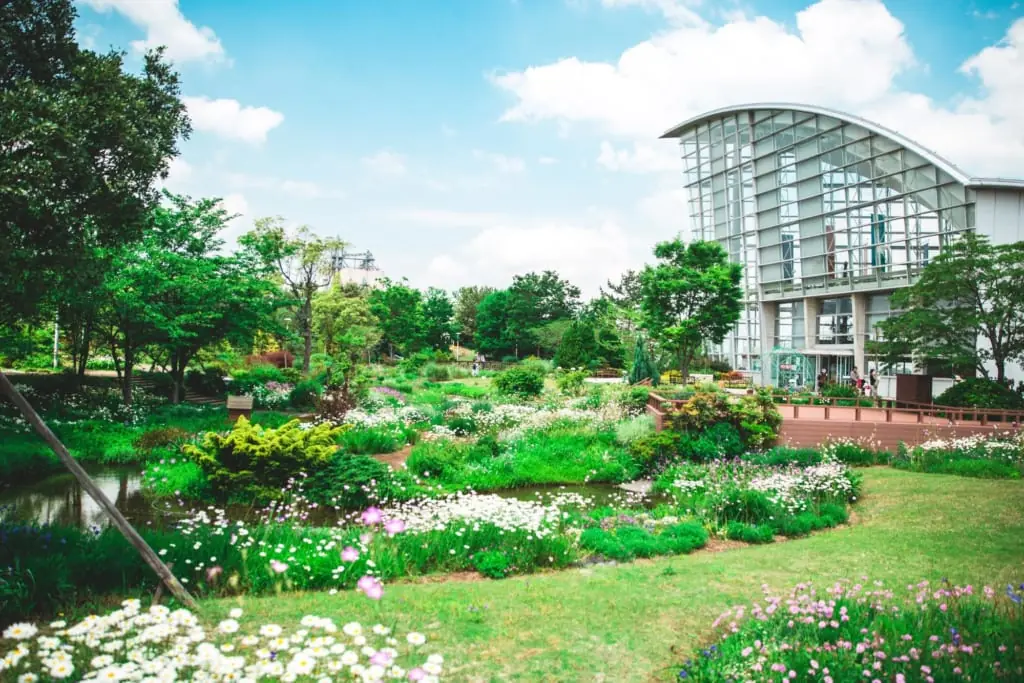 別世界が広がるフラワーガーデン 名古屋港の隠れたお花畑「ブルーボネット」