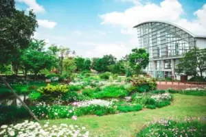 別世界が広がるフラワーガーデン 名古屋港の隠れたお花畑「ブルーボネット」