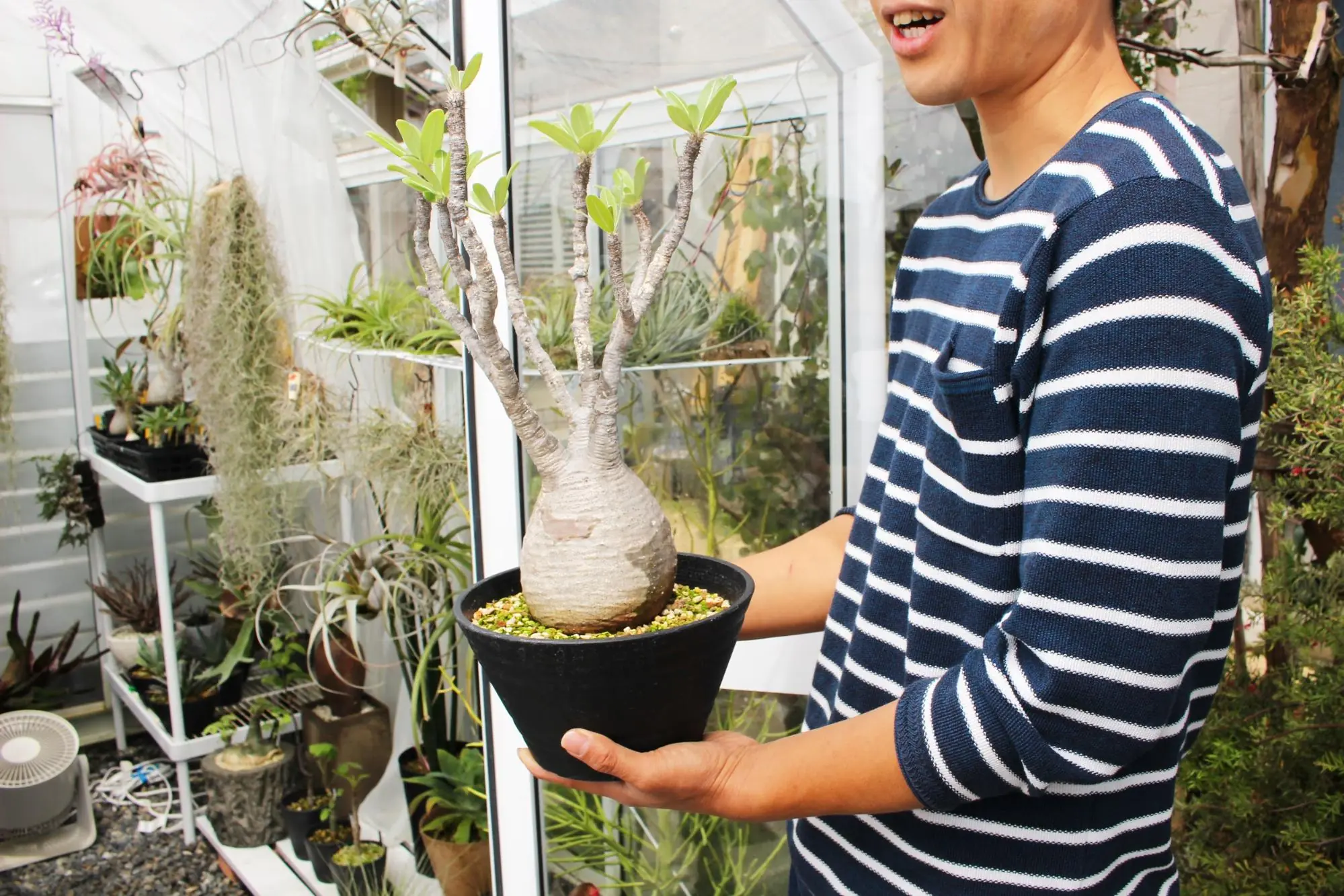 Naptime 小林植物店 植物を育てる楽しみを教えてくれるお店 ライフデザインズ