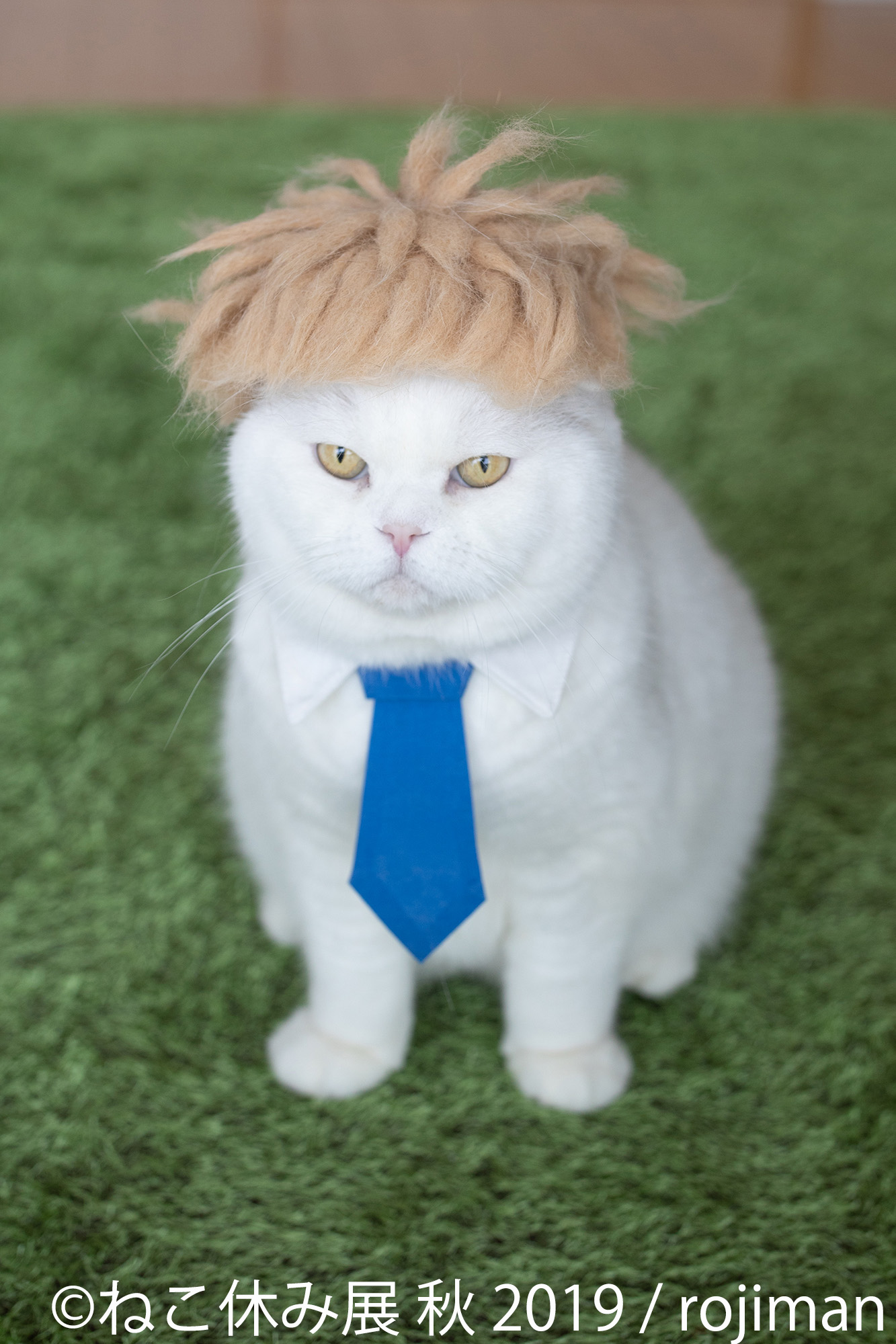 @ねこ休み展 秋 2019 / rojiman