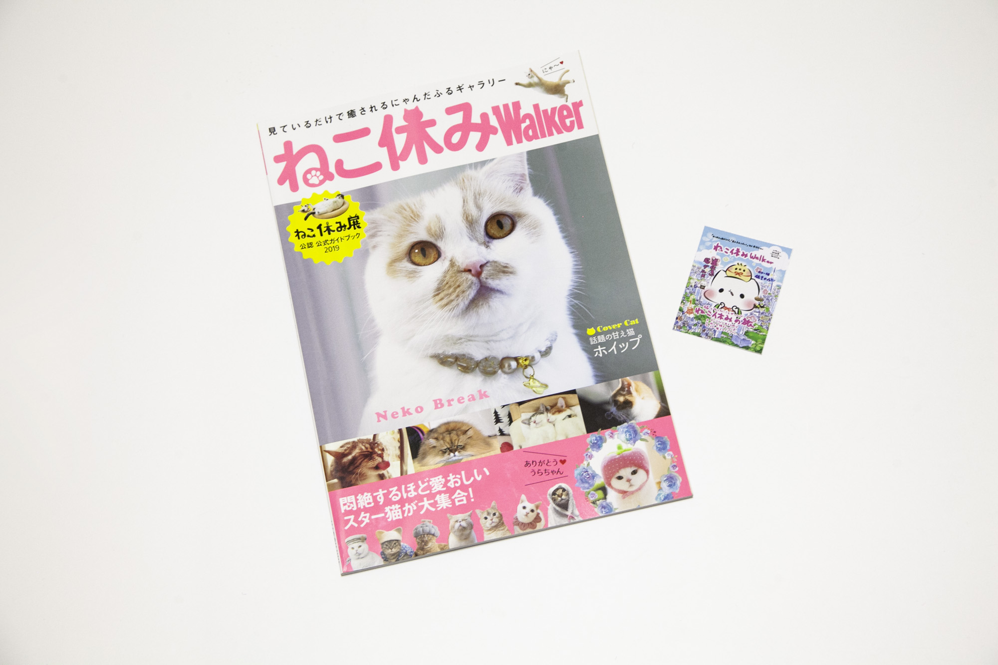 ねこ休み Walker 1,300円(税別)