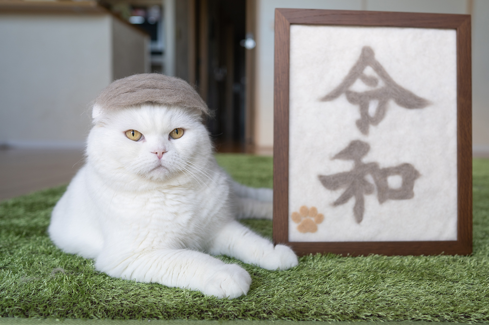@ねこ休み展 秋 2019 / rojiman