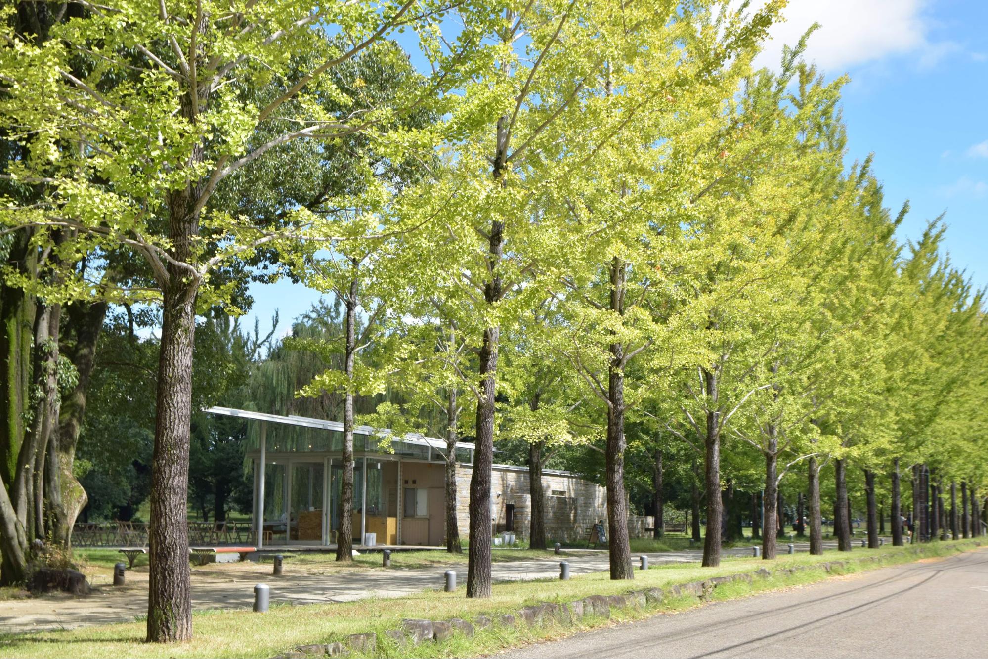 KAKAMIGAHARA STAND