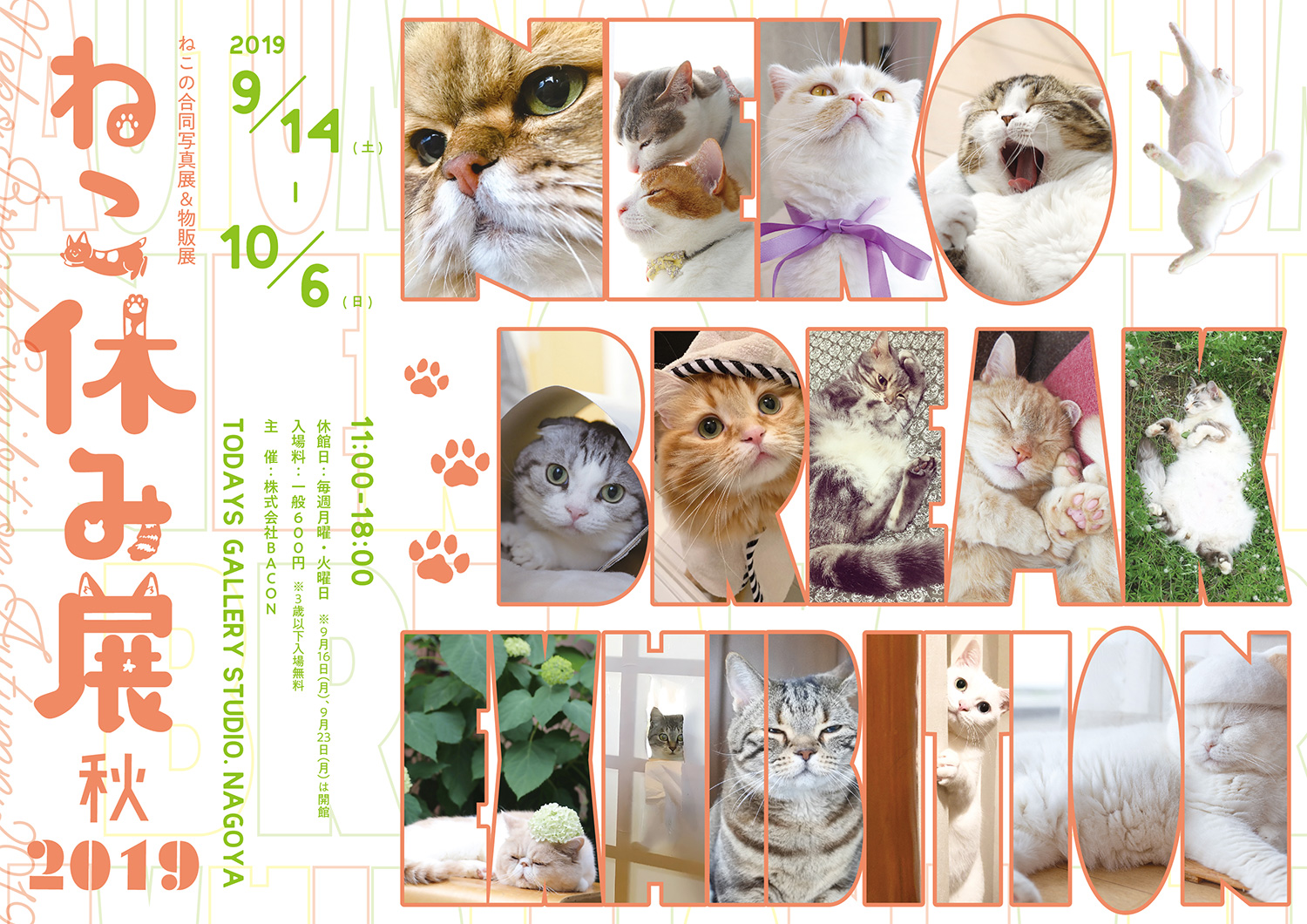 ねこまみれの秋到来!猫の合同写真展&物販展「ねこ休み展」in 名古屋