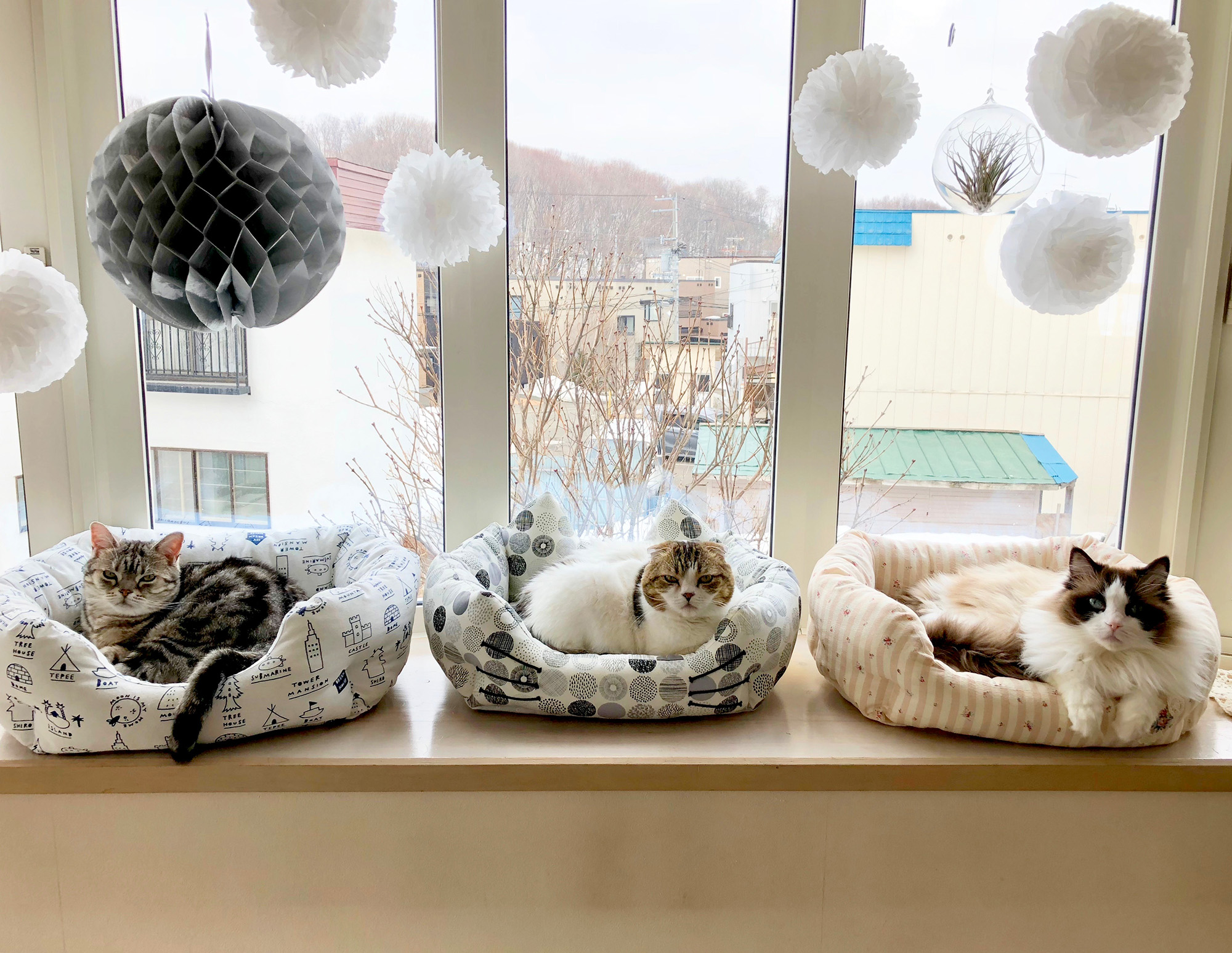 @ねこ休み展 秋 2019 / jun.k