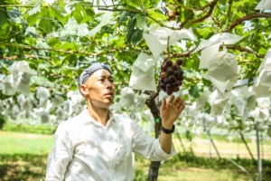 手間を惜しまず、ひとつぶ、ひとふさ、ていねいに。ぶどう本来のおいしさを食卓へ届ける「葡萄のふくおか」