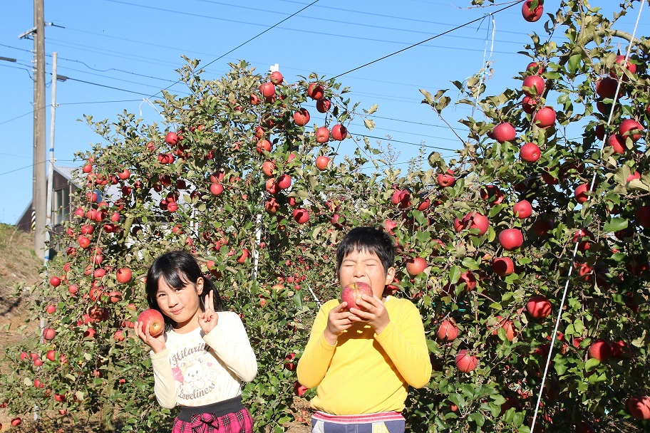 三和観光農園