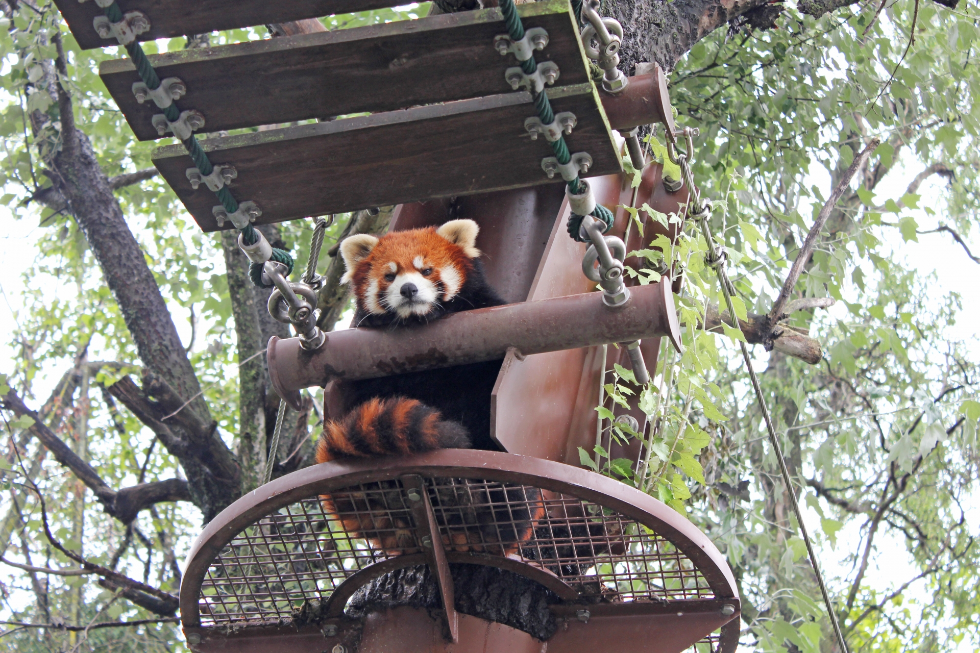 旭山動物園