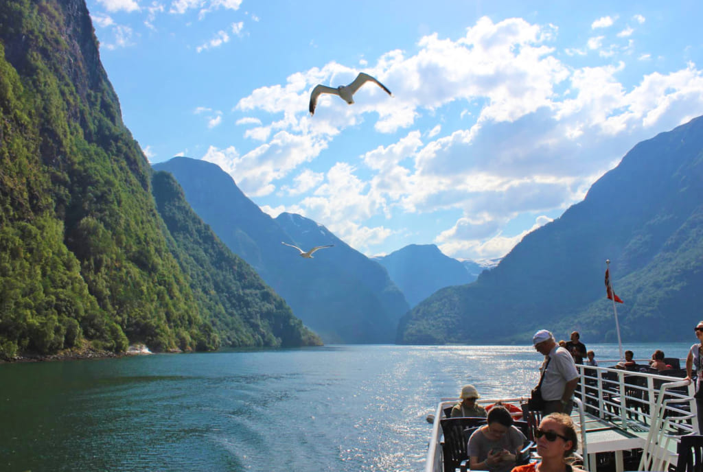 【スウェーデンの暮らし】ダイナミックなフィヨルドが圧巻、ノルウェーフィヨルドクルーズ