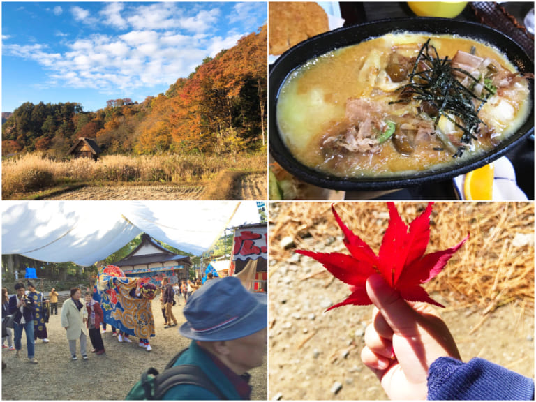 【若旦那のおすすめ！】紅葉にとろろステーキに、どぶろく祭り。秋の白川郷の楽しみ方