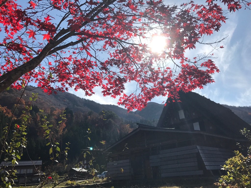 神田家周辺の紅葉