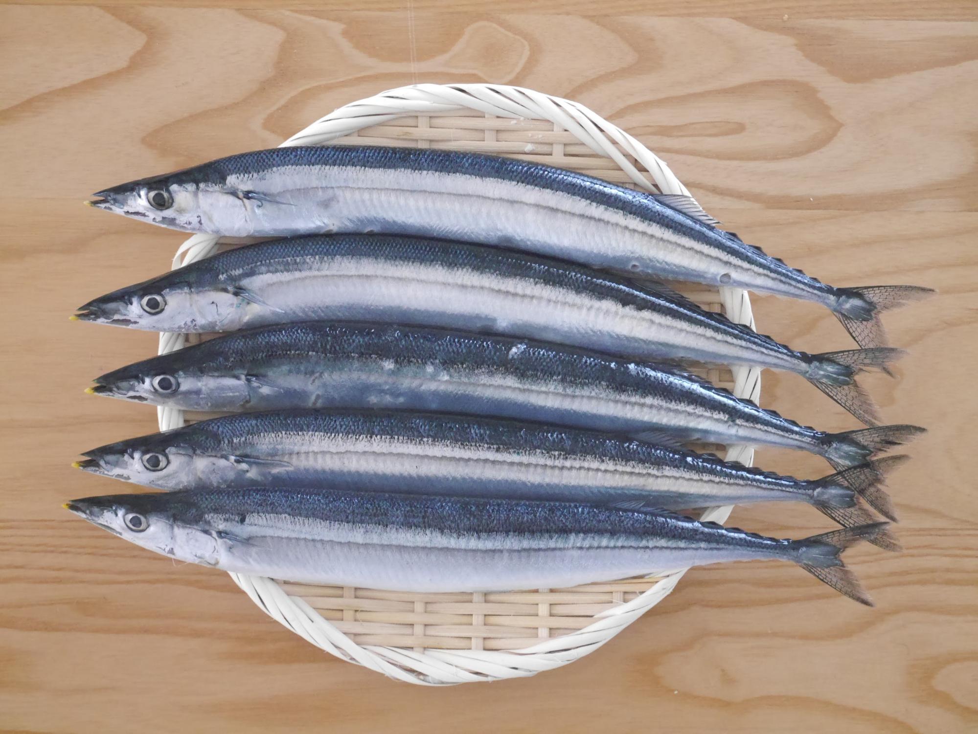 さかな屋のお嫁さん家 11月の食卓 みんな大好き 骨まで丸ごとさんま祭り 神田ひかり ライフデザインズ