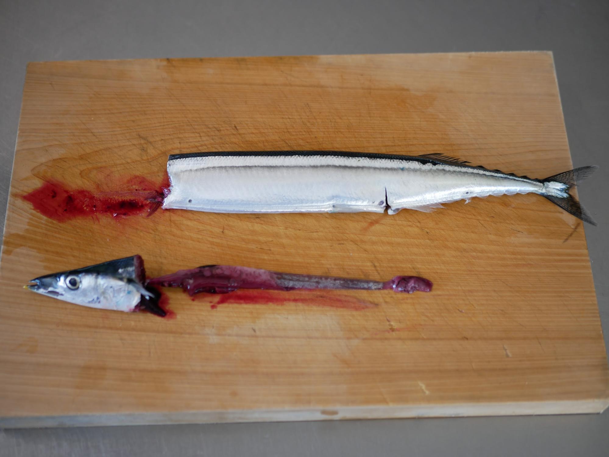 さかな屋のお嫁さん家 11月の食卓 みんな大好き 骨まで丸ごとさんま祭り 神田ひかり ライフデザインズ