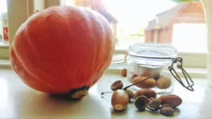 【スウェーデンの暮らし】スウェーデンの家庭スイーツKokostopレシピと、王室御用達石鹸