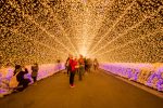イルミネーションが楽しめる、愛知県のおでかけスポット【10選】