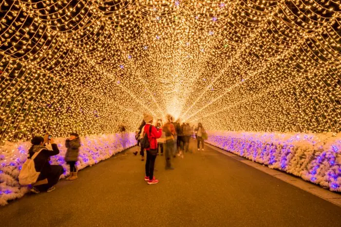 イルミネーションが楽しめる、愛知県のおでかけスポット【10選】