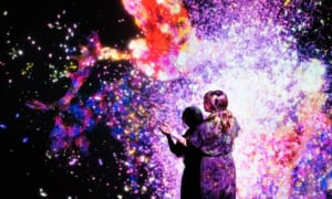 「チームラボ 学ぶ!未来の遊園地と花と共に生きる動物達」に行ってきました。みどころを徹底レポート!