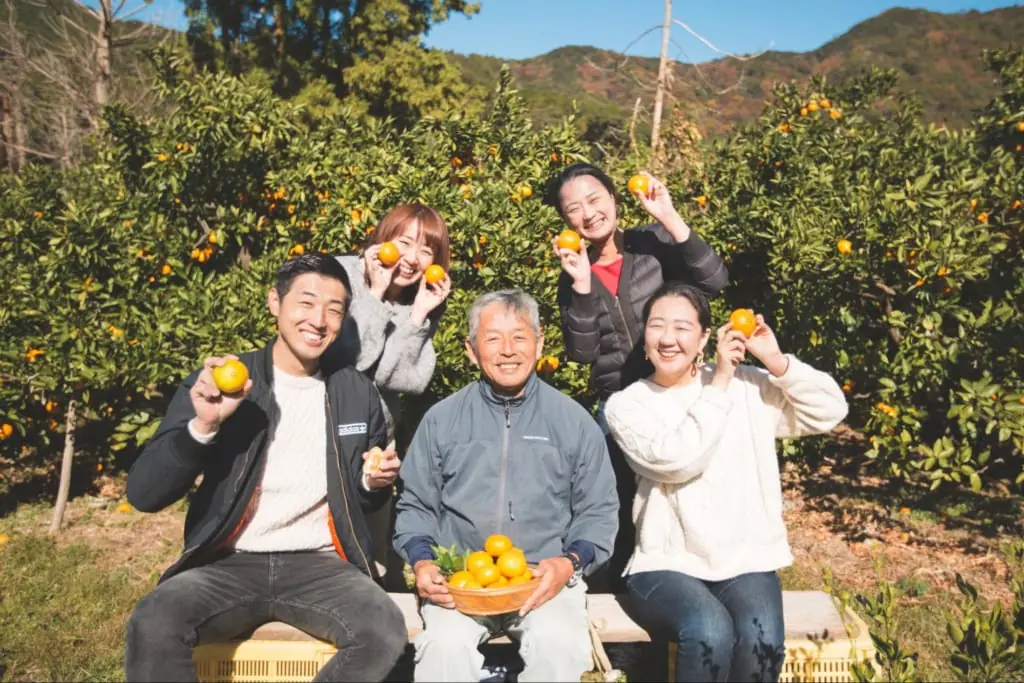 【나고야에서 2시간】 귤 농장 체험부터 현지 음식에 현대 미술까지. 가을~겨울에 추천! 미나미이세쵸를 완전히 즐기는 당일치기 플랜