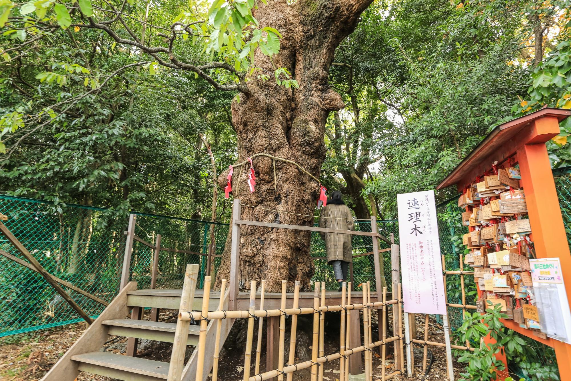 城山八幡宮