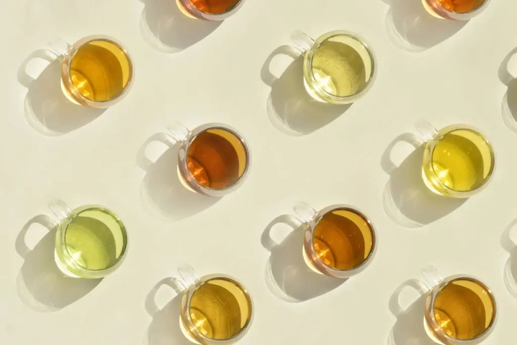 自分だけのお気に入りと出会うお茶体験 ーMY FAVORITE TEA ー