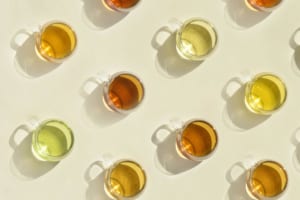 自分だけのお気に入りと出会うお茶体験 ーMY FAVORITE TEA ー