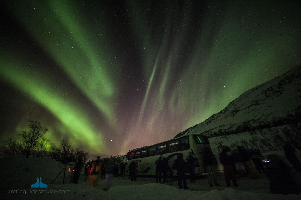 【ノルウェートロムソ】大空を駆け巡るオーロラのダンス！おすすめオーロラツアーとオーロラの見つけ方