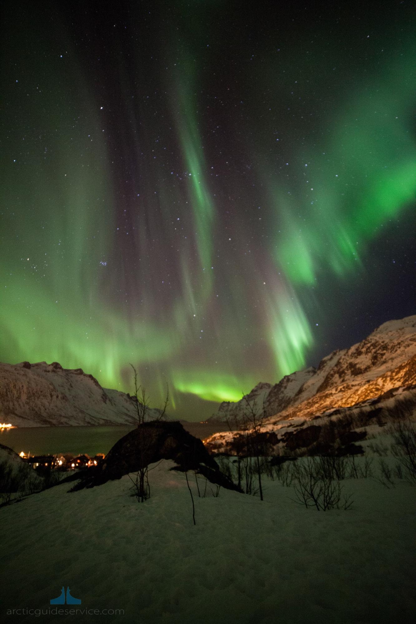 ノルウェートロムソ 大空を駆け巡るオーロラのダンス おすすめオーロラツアーとオーロラの見つけ方