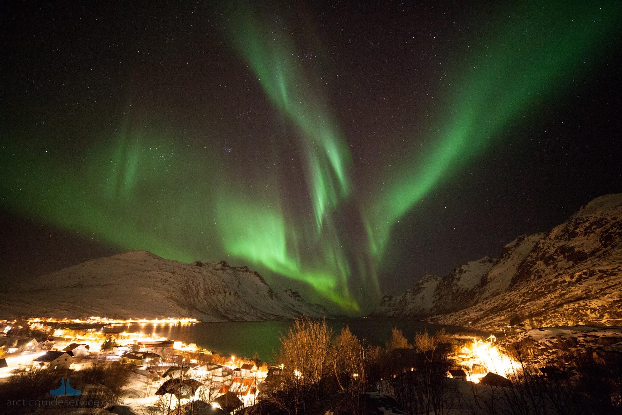 ノルウェートロムソ 大空を駆け巡るオーロラのダンス おすすめオーロラツアーとオーロラの見つけ方