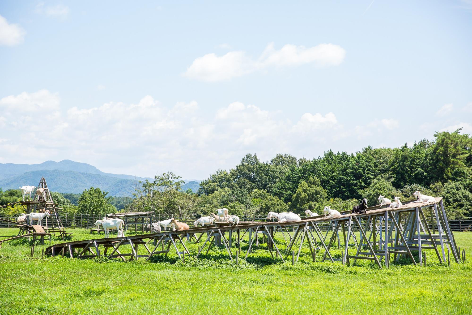 ぎふ清流里山公園