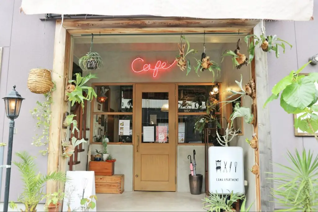 店主のこだわりが詰まった、植物に囲まれほっと一息付ける刈谷市のカフェ「CAFE LAMA」